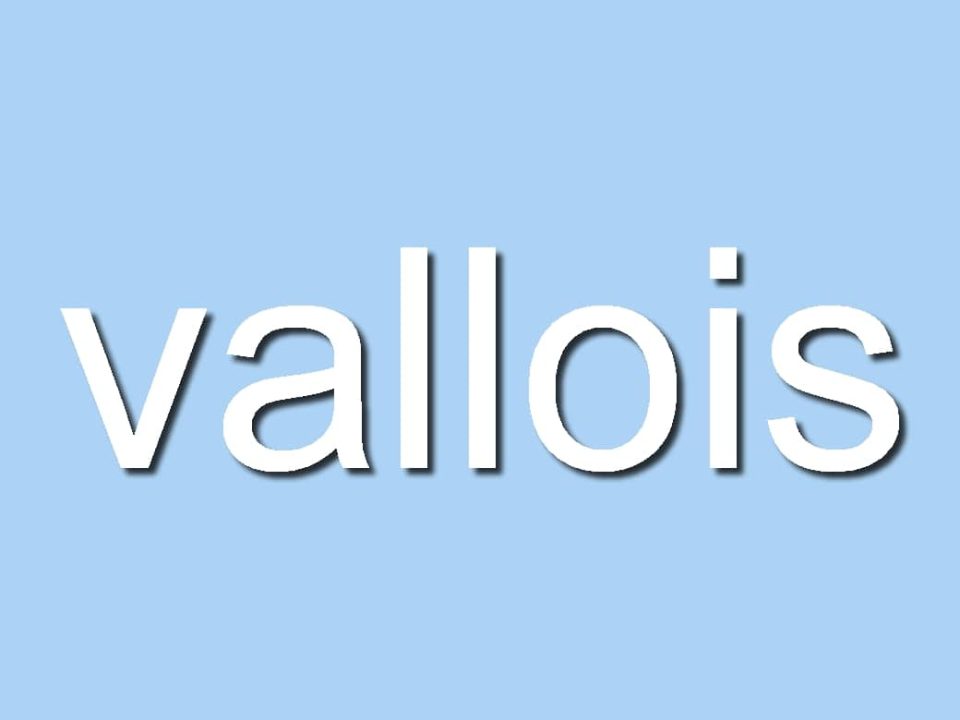 découvrez l'assurance habitation vallois, adaptée à vos besoins et à votre budget. protégez votre maison et vos biens avec des garanties sur mesure, un service clientèle réactif et des conseils personnalisés. obtenez un devis gratuit dès aujourd'hui pour sécuriser votre logement.