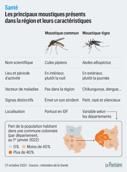découvrez l'impact des moustiques sur la santé humaine. informez-vous sur les maladies transmitibles, les mesures de prévention et les dernières recherches pour mieux vous protéger contre ces nuisibles.
